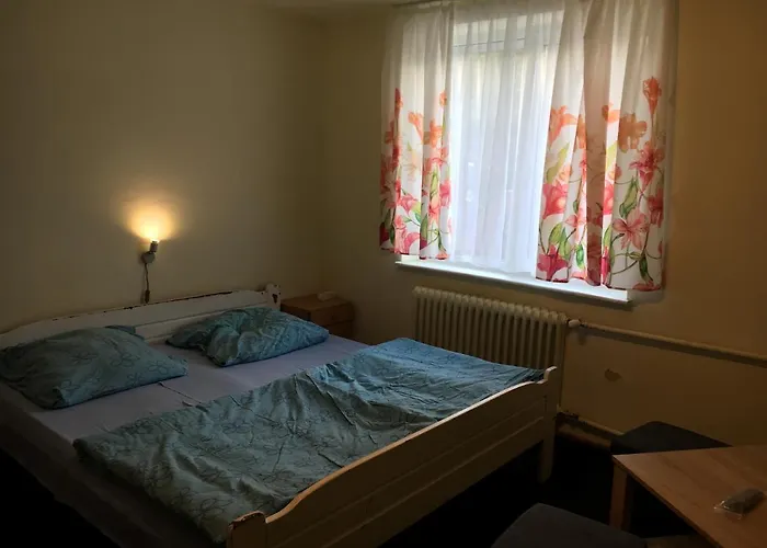 格斯尼格拉夫旅馆 * 卡尔帕奇