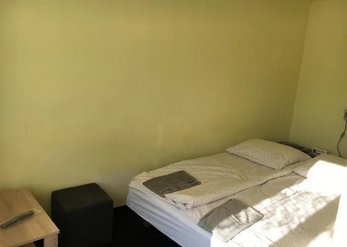 格斯尼格拉夫旅馆 *